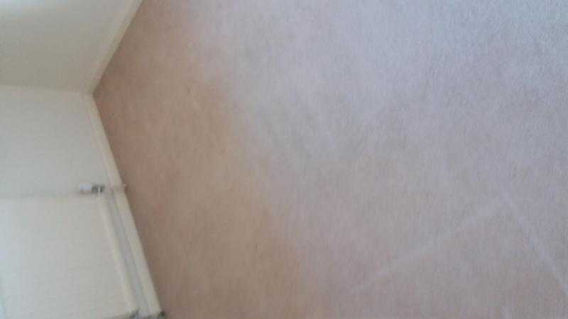 free cream coloured carpet