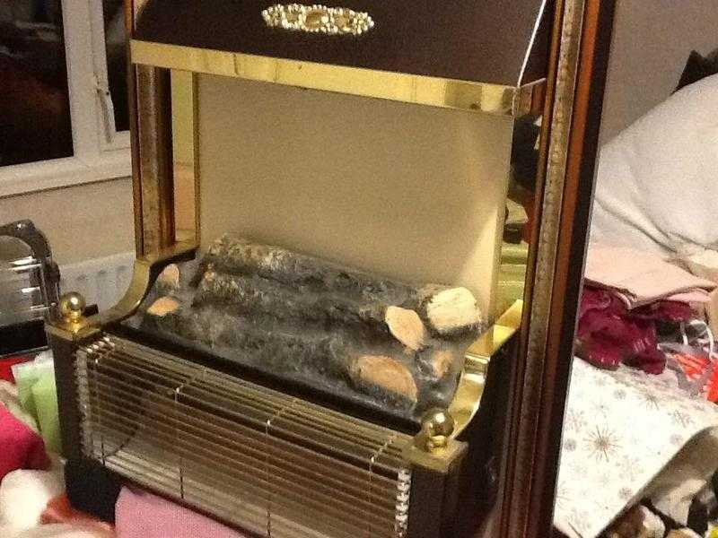 Free electric fire