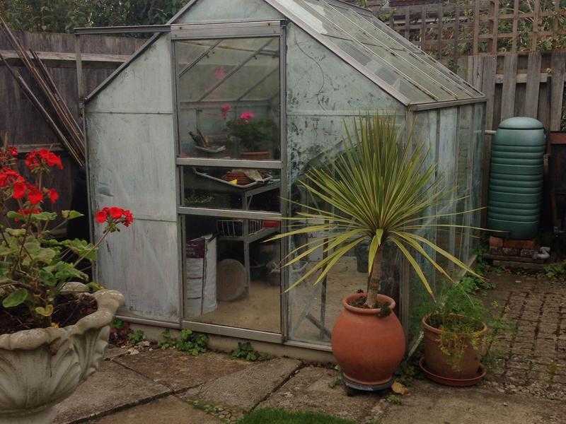 Free Greenhouse 6 x 8 ft