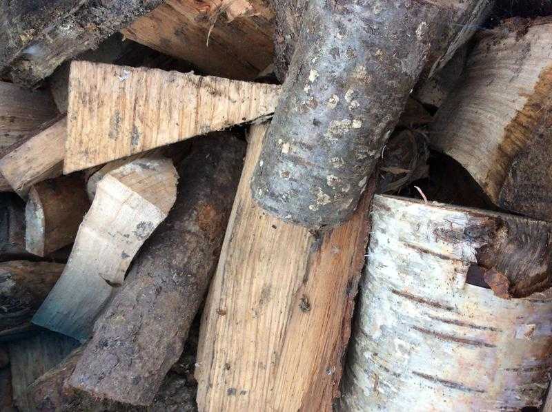 FREE LOADS OF LOGS FREE