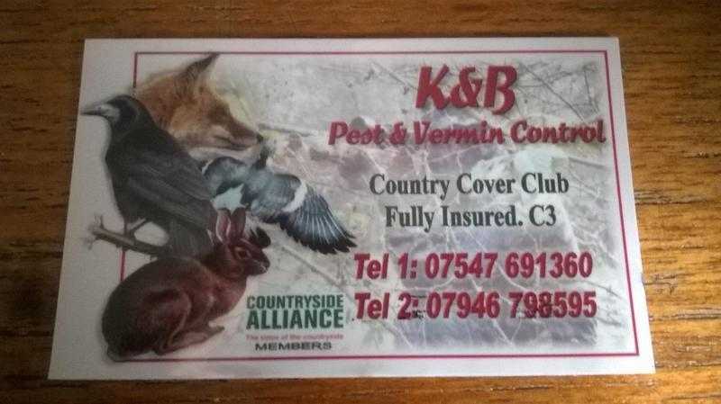 Free pest control anywhere in NW