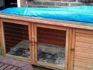 Free Rabbit Hutch with Run