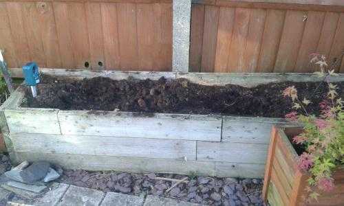 free soil