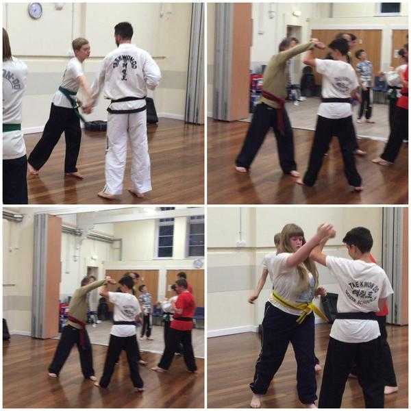 FRee Taekwondo lessons