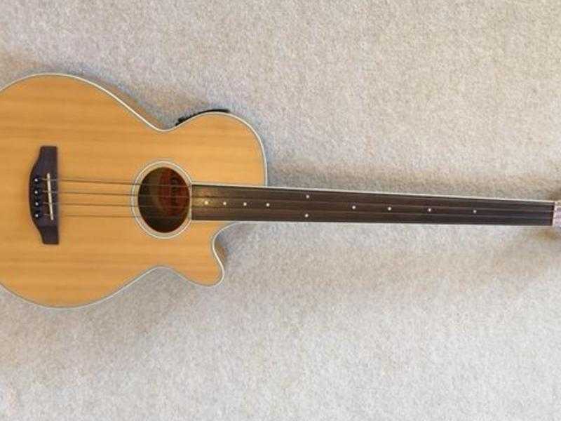 Fretless Acoustic Bass