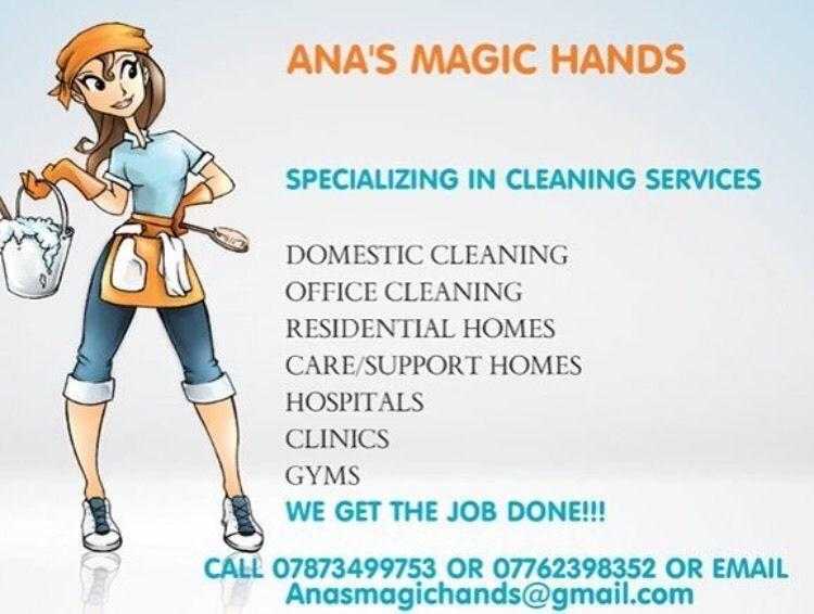 friendly domestic cleaner