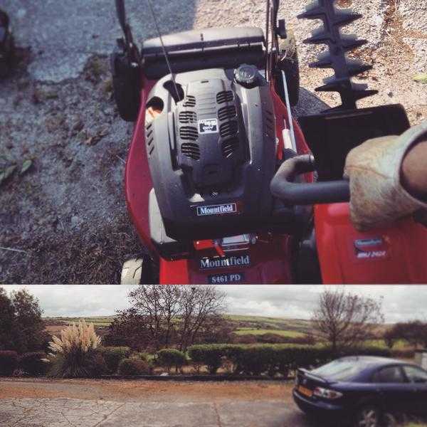 Friendly Reliable Gardener in Bodmin - Toto Garden Maintenance and Care