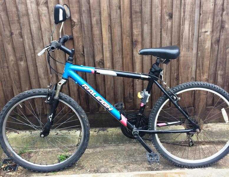 Full Size Raleigh Man039s or Youths Mountain Bike Bargain