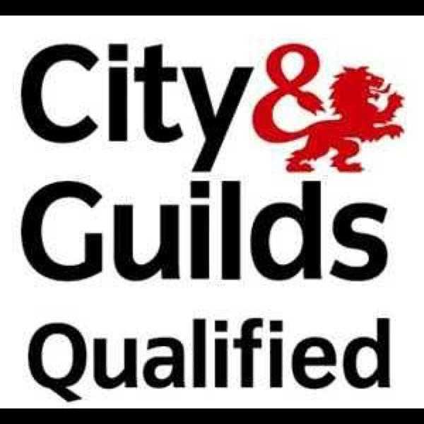 Fully Qualified Domestic Electrician