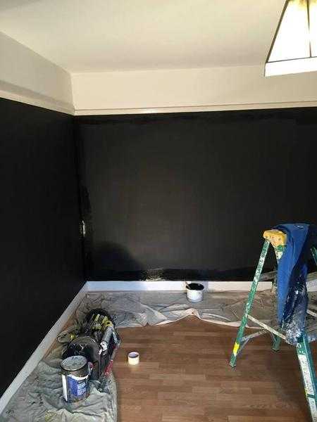 Fully Qualified Painter and Decorator