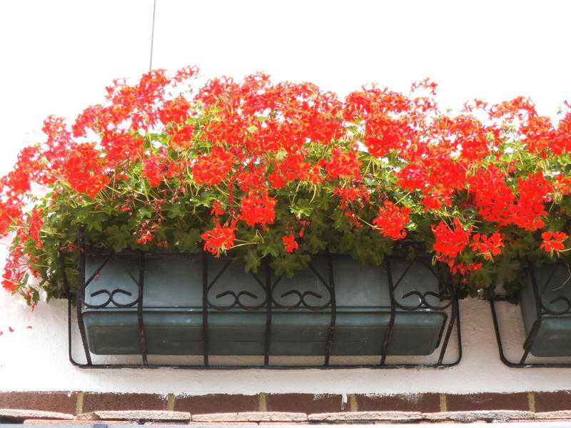 GALVANISED WROUGHT IRON FLOWER BASKET HOLDER.