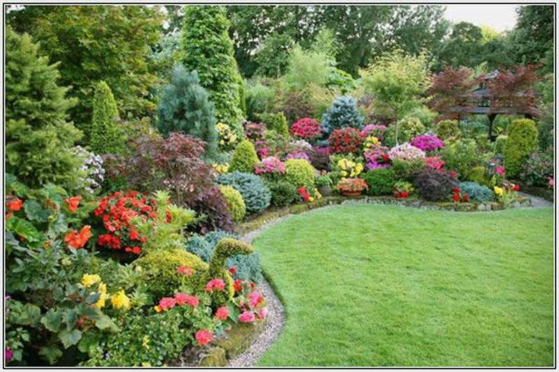 garden care for all your garden needs