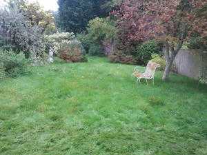 Garden clearing, maintainance, tidying and landscaping.