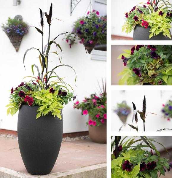 Garden design and landscape services, maintenance and planted containers service