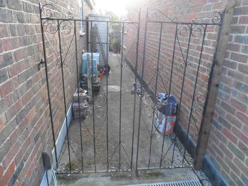 garden gate and side panel in iron