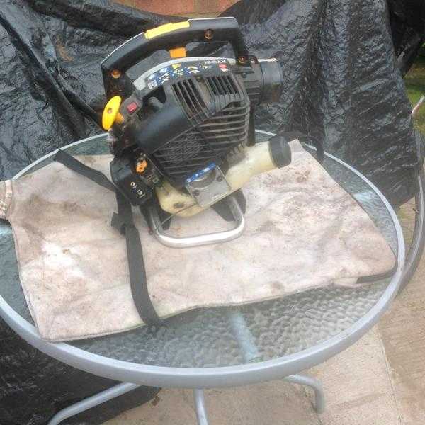 Garden Hoover ryobi (spares or repair)