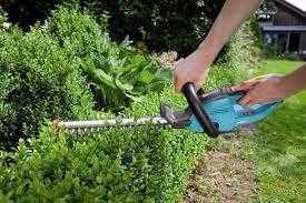 Garden Maintenance in Southampton area.