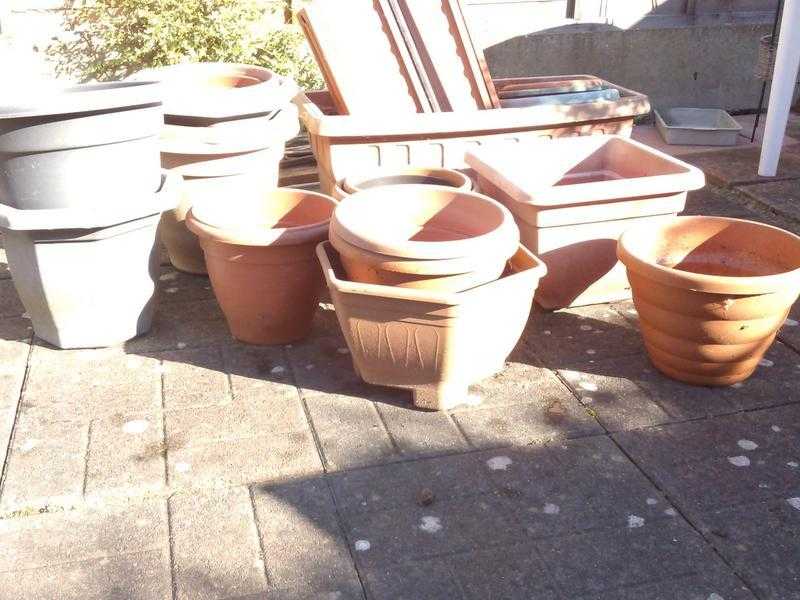 Garden plant pots and canes