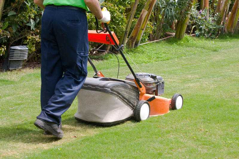 Garden Services in Northampton amp Surrounding Villages