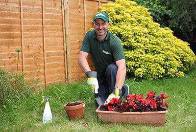 Garden services North London