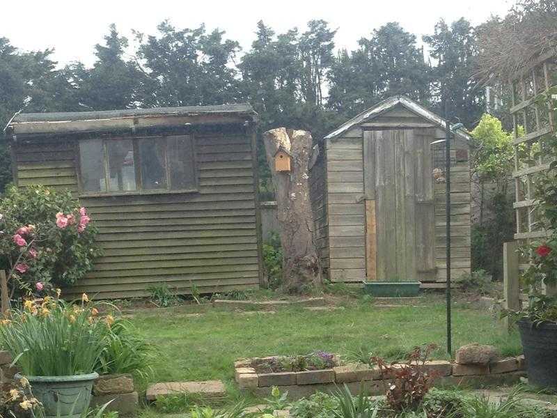 Garden Shed