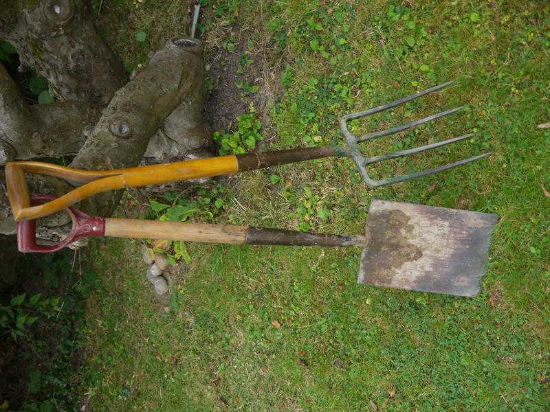 Garden spade and fork