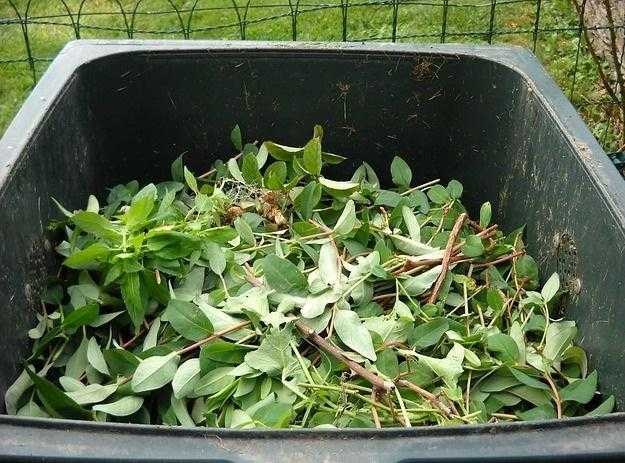 Garden Waste Removal