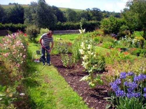 GARDENER