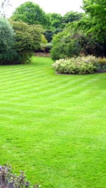 Gardening and lawn care services