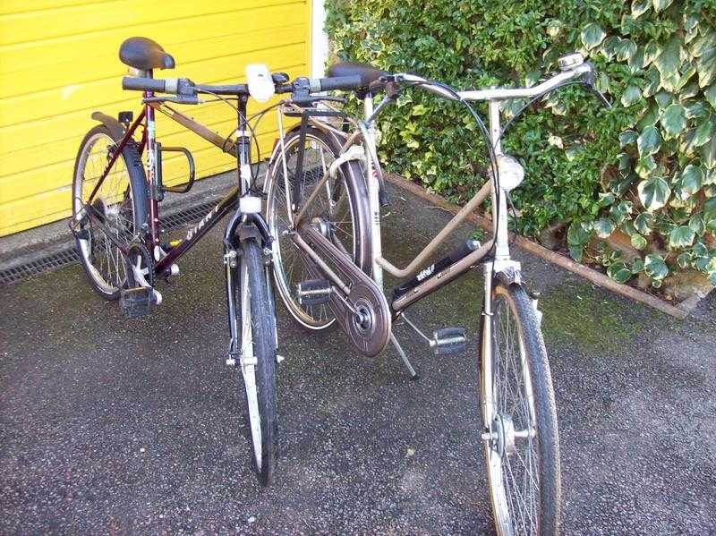 Gent039s Giant Chicago mountain bike and lady039s classic Dutch Gazelle