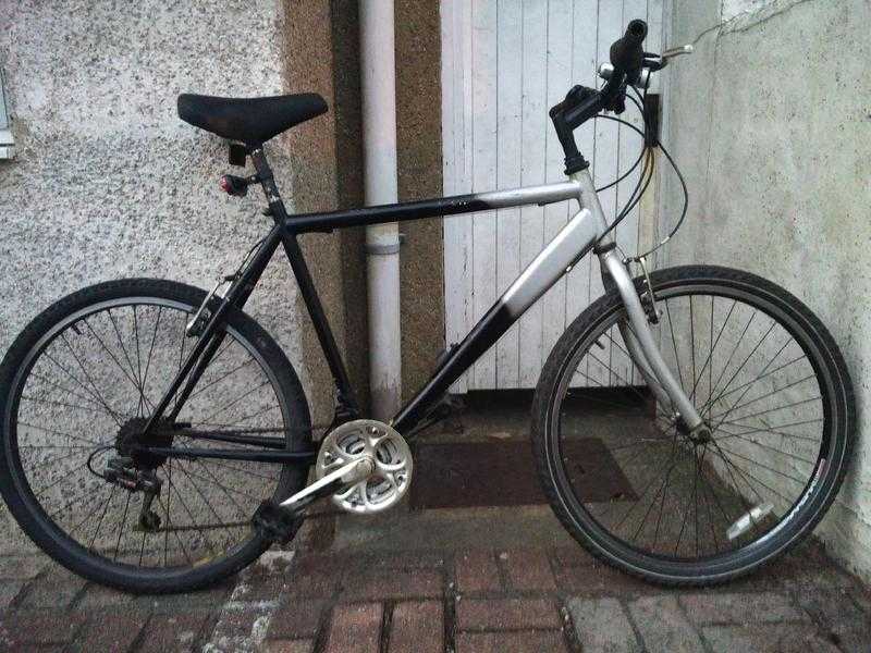 Gents Raleigh Firefly Mountain Bike