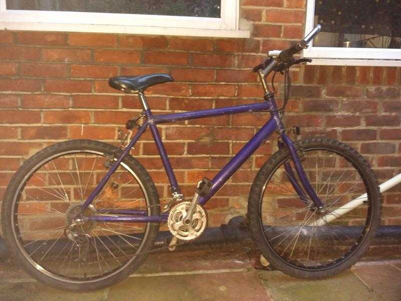 Gents Raleigh Mountain Bike