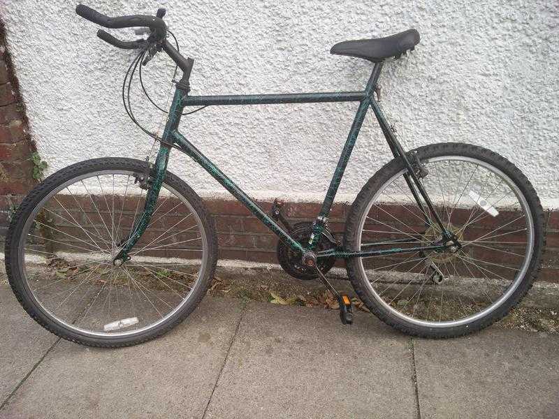 Gents Raleigh Mountain Bike