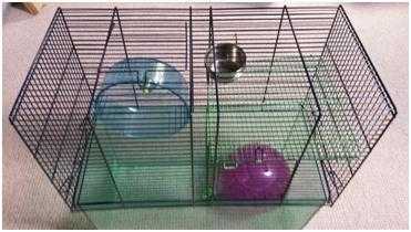 GerbilHamster Cage amp Accessories -  Christmas gift Just add pet, food, water amp sawdust