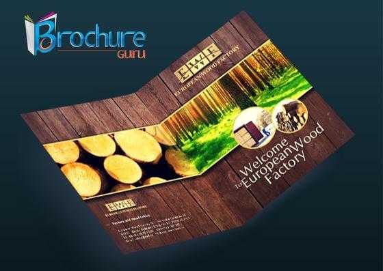 Get a customized bifold brochure for your business