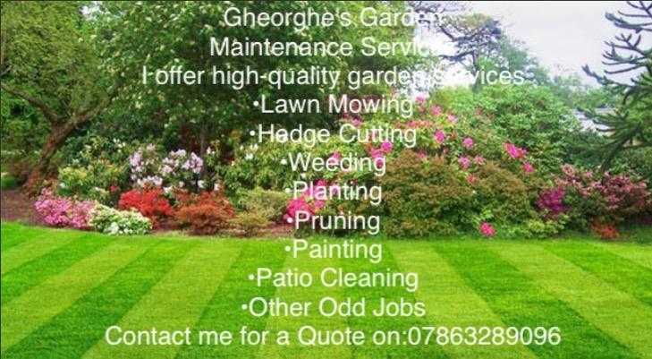 Gheorghe039s Garden Maintenance Services