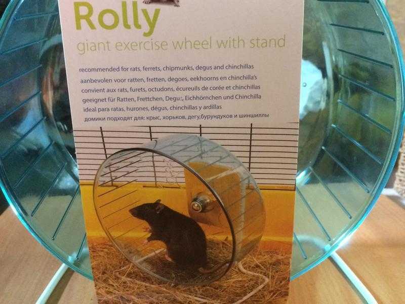 Giant Rolly excercise wheel 10 Brand new.