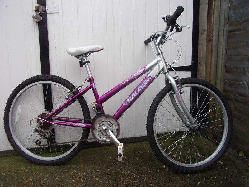 Girls Bicycle - Ideal Christmas Present.