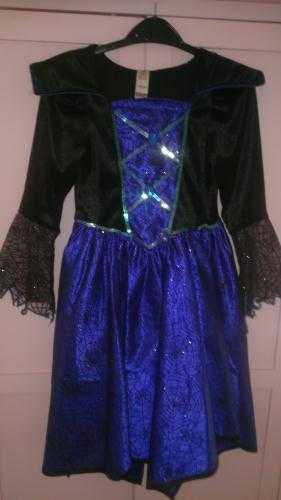 Girls blue witch sparkly Halloween costume dress with hat in perfect condition