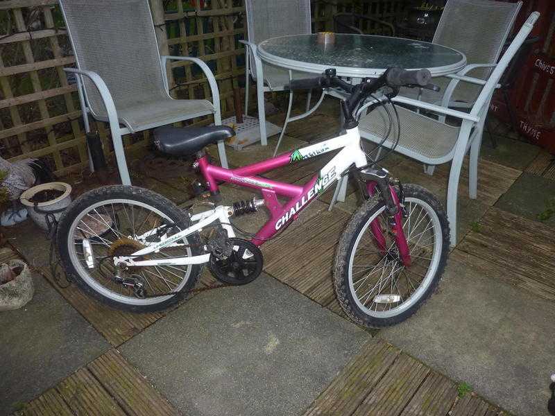 girls mountain bike (Newick not lewes)