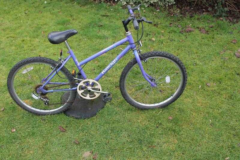 GIRLS MOUNTAIN BIKE  RALEIGH CALYPSO