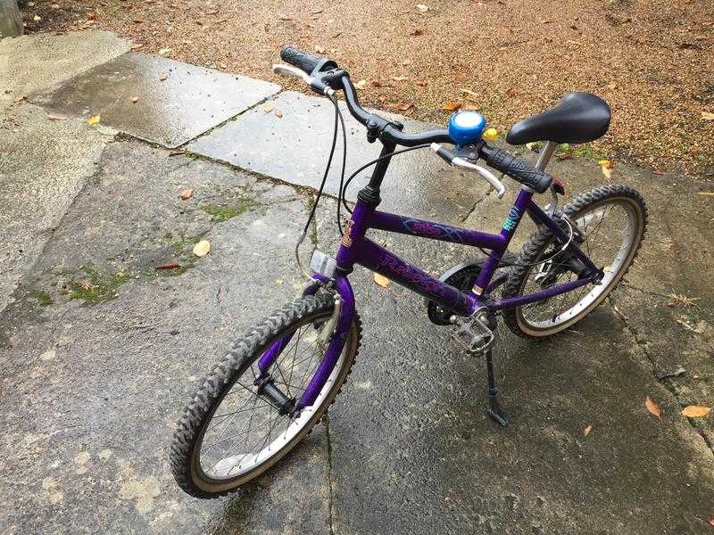 Girls Raleigh Bike to suit 5-10 year old