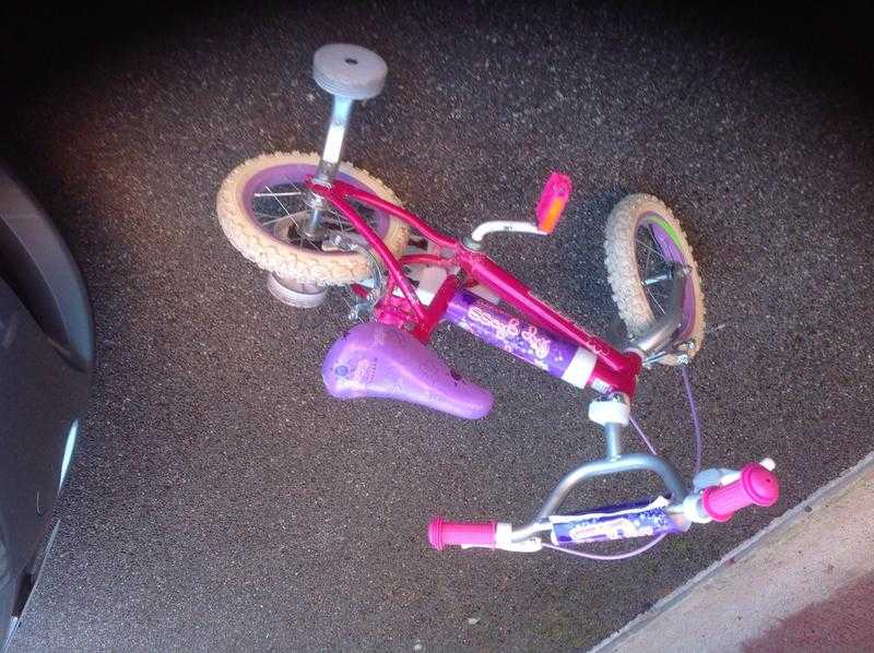 Girls Raleigh lip gloss bike