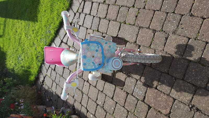 Girls rayleigh bike