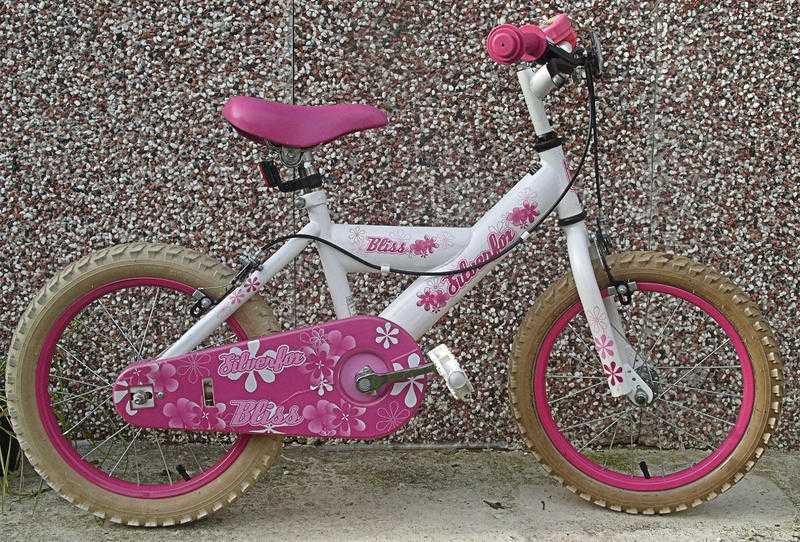 Girls SIlverfox Bike