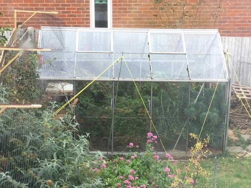 Glass Greenhouse for sale