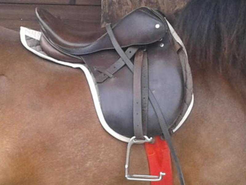 Godden Saddlery 15 12quot Medium Width Pony Saddle - Havana