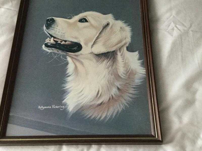 Golden LabradorRetriever print