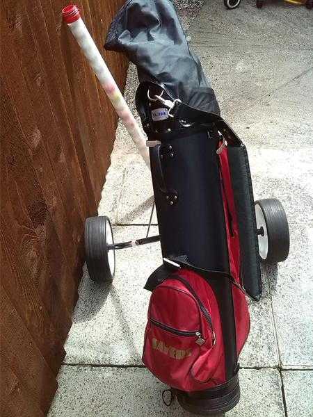 Golf caddy with clubs, detachable cover, golf balls