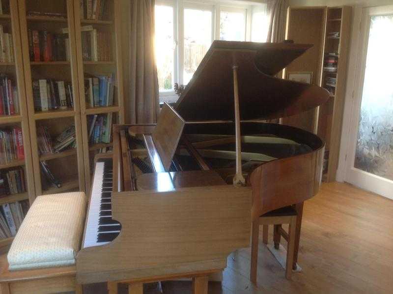 Grand Piano